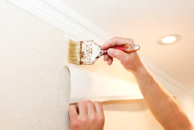 Pose de papier peint à Salmaise — revêtements muraux et toiles de verre